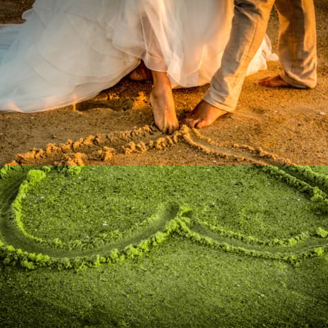 photographe Bordeaux