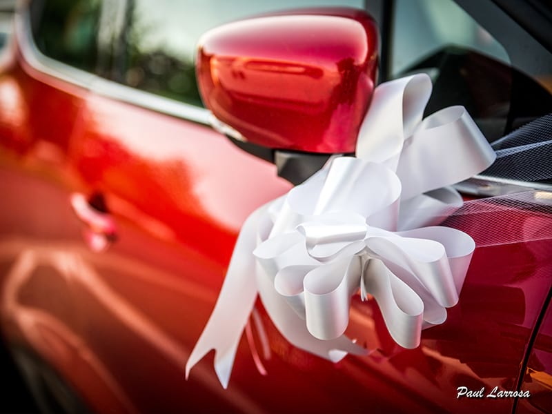 Mariage - Paul Larrosa Photographie